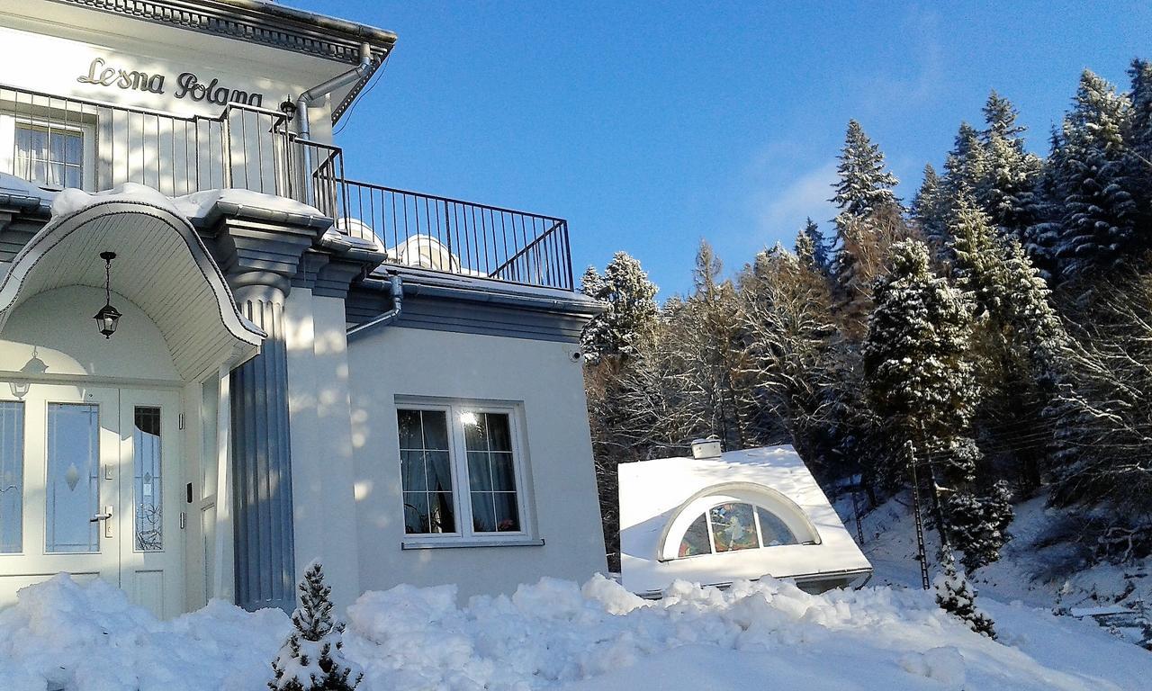 Lesna Polana- Blisko Centrum, Mini Spa, Cicha, Spokojna Okolica, Parking Gratis Krynica Zdroj Exterior photo