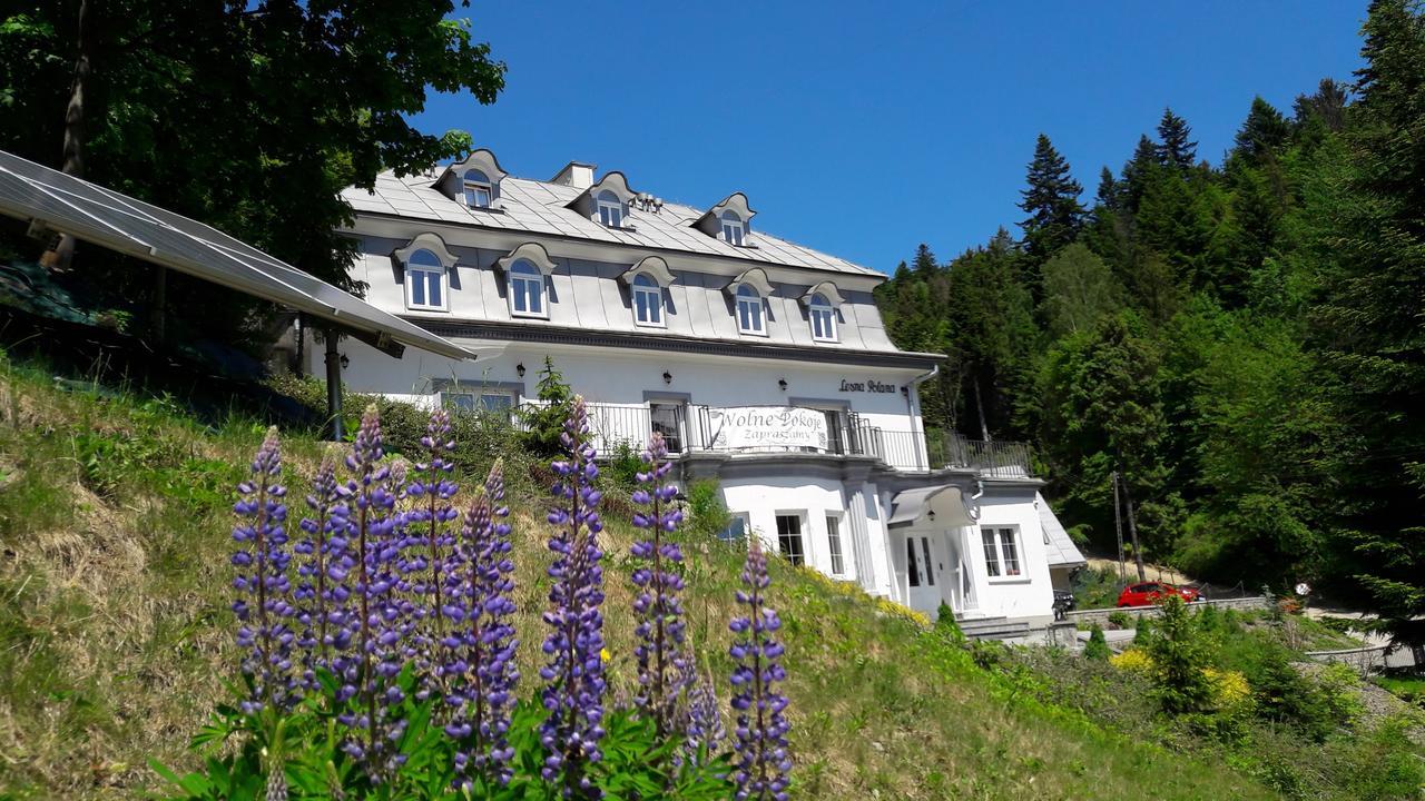 Lesna Polana Hotel Krynica Zdroj Exterior photo